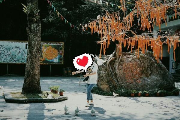 救援旅游者