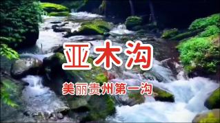 塞尔维亚贝尔格莱德中国商品市场发生火灾