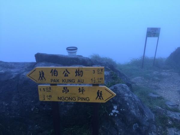 苏菲亚安伯时装秀