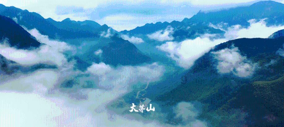 外地游客橘子洲游玩突发不适,幸好遇到她们