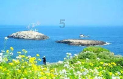 8万起售再成爆款？3月上市，比亚迪元UP预告图发布