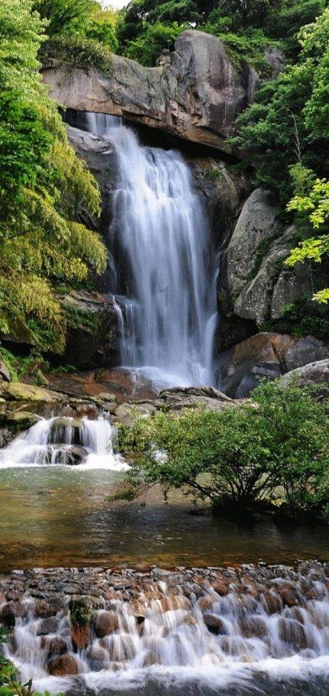 高考语文值得放弃6分默写吗？游戏画面