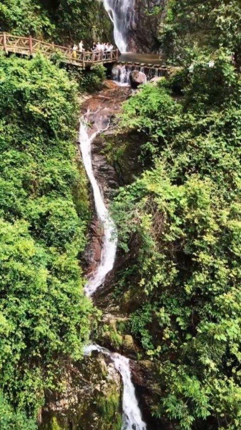 新糖果怪物