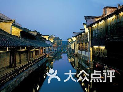 可爱小猫向上跳