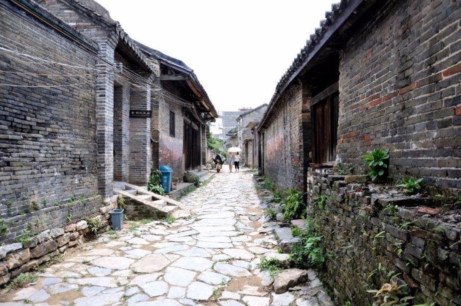 拯救精灵的土地6