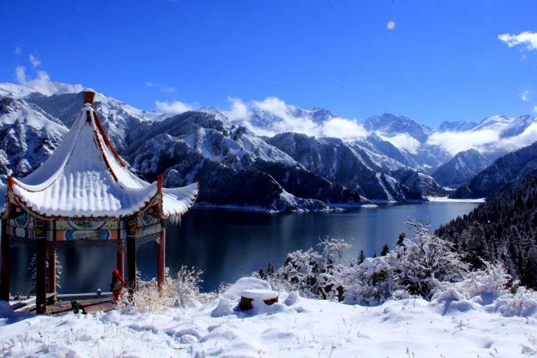 高效问答网站餐饮业提倡小份菜,有什么意义吗?,轻松解答你的疑问